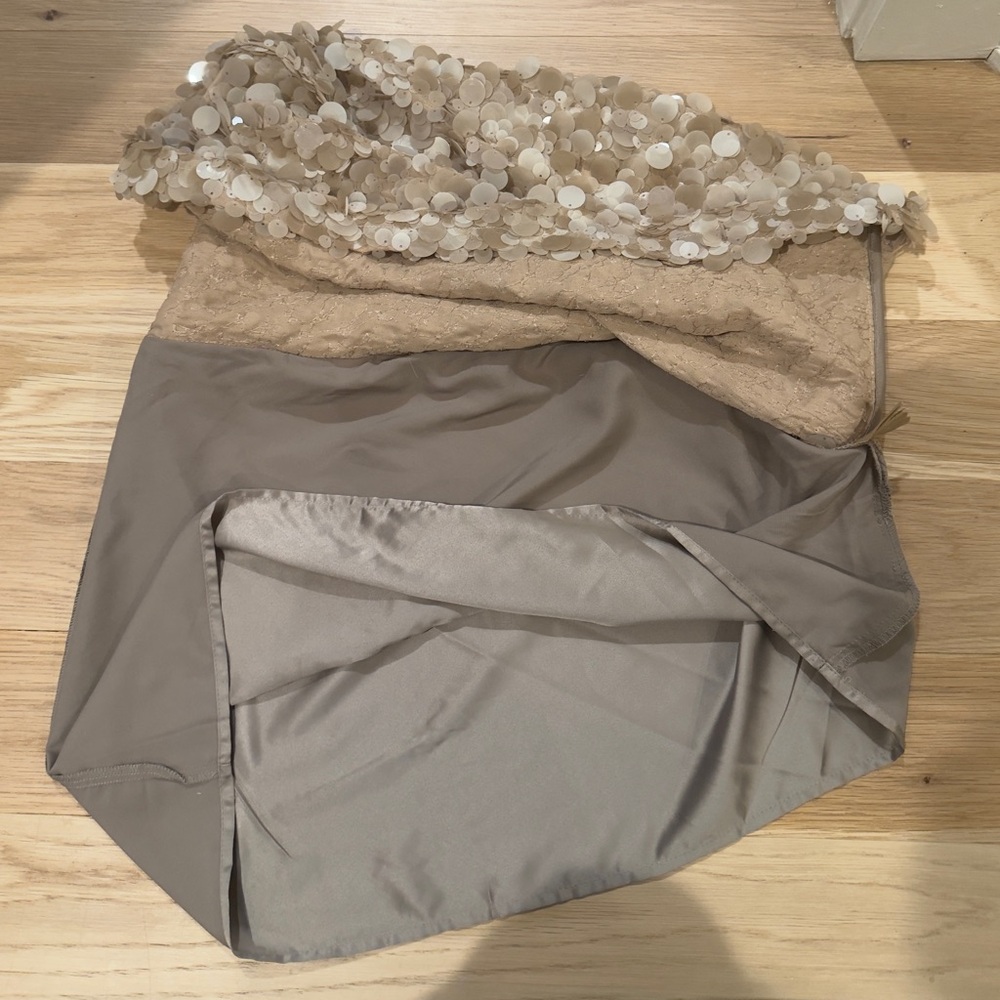 Zara Champagne Sequin Mini Skirt - Picture 7 of 8